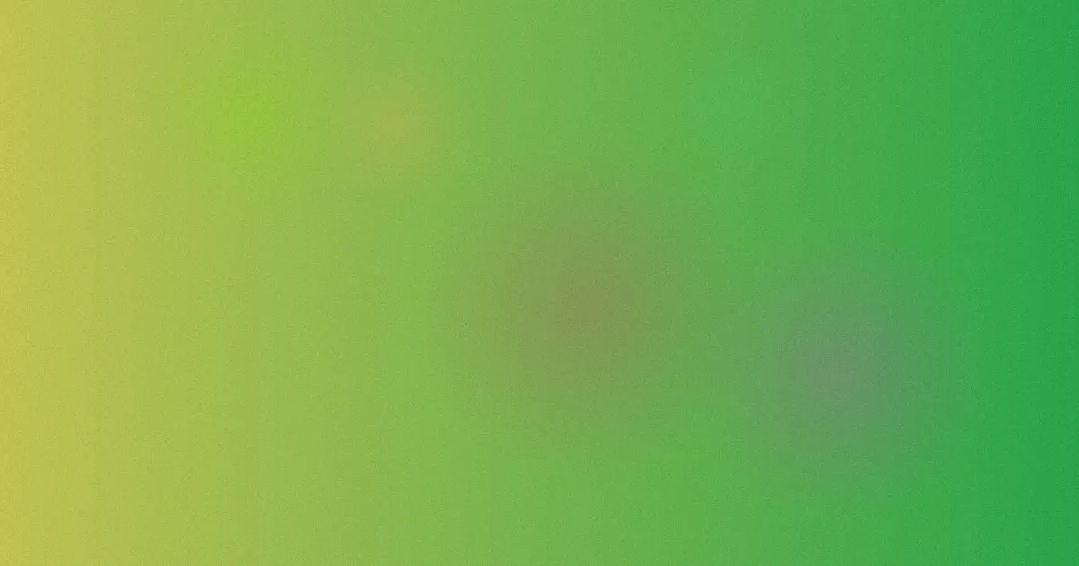 废柴视频避坑深度解析